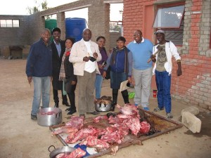 Preparation of Cow for Graduation Meal